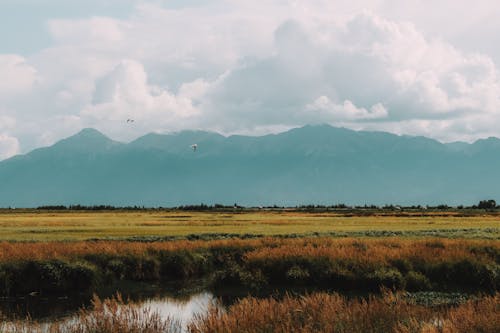 Бесплатное стоковое фото с болото, горизонт, горы