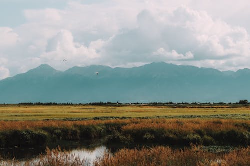 Fotobanka s bezplatnými fotkami na tému horizont, hory, hracie pole