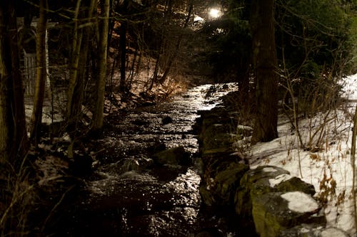 Δωρεάν στοκ φωτογραφιών με nightime, river stream, ανάκλαση φωτός
