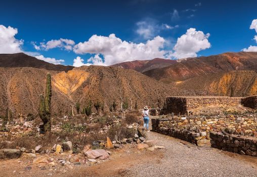 A woman walks through a scenic desert landscape with mountains and cacti under a clear blue sky.