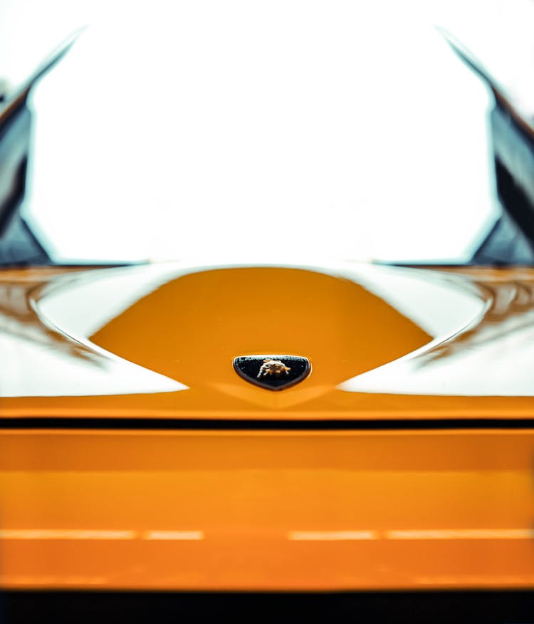 Lamborghini Emblem Photo