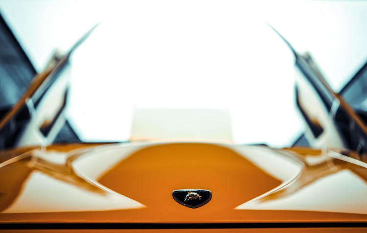 Lamborghini Emblem Photo