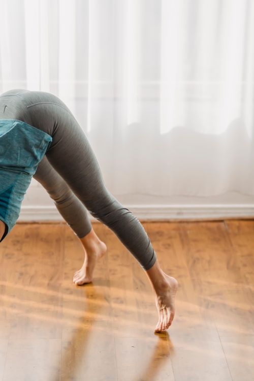 Free Faceless active barefoot female in sportswear practicing Downward facing dog with toe raises while practicing yoga asana in light room Stock Photo