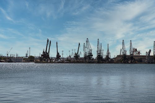 Cranes Near a Body of Water