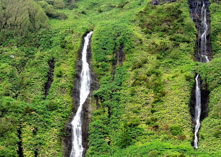 Waterfalls Between Lush Green Shrubs