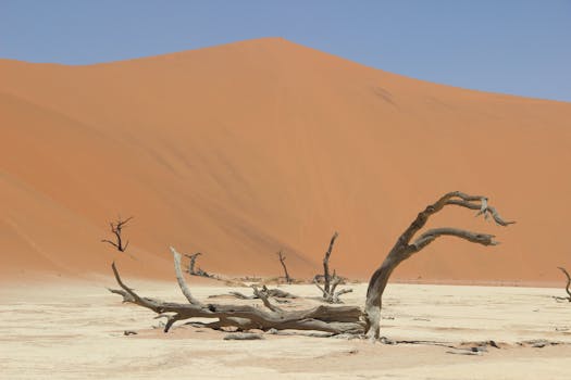 Sossusvlei, Namibia photo 7