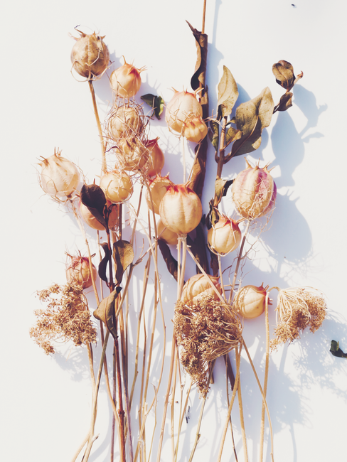 A collection of dried autumn flowers and leaves on a white surface, capturing seasonal beauty.
