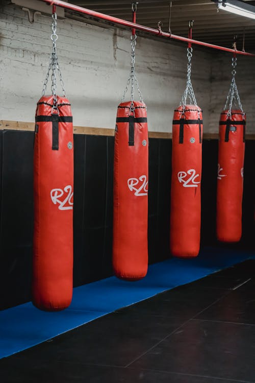 Interior of boxing gym with heavy punching bags hanging on chains for workout