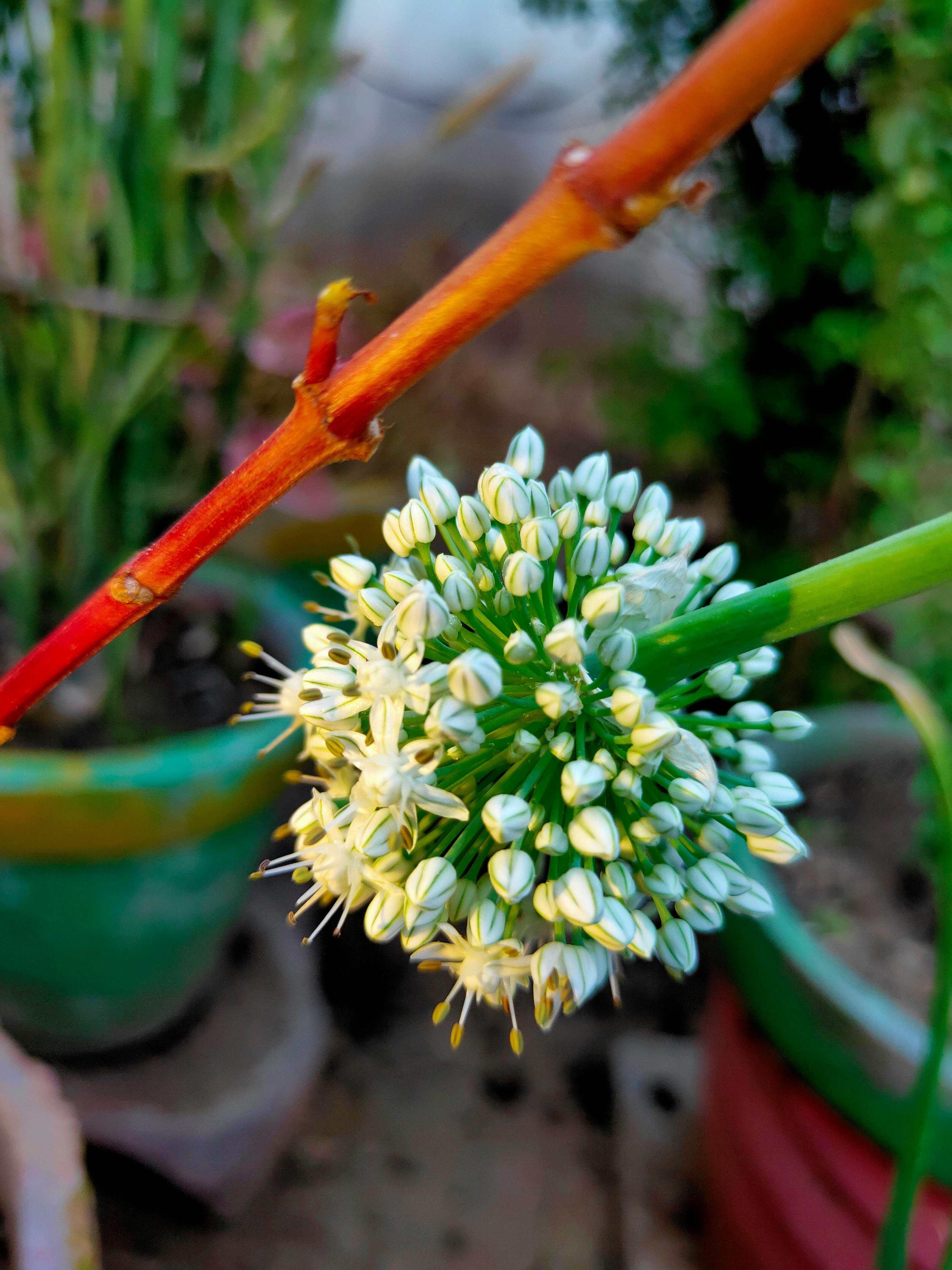 Person performing a barbell squat as part of a structured strength program
