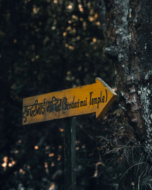 Free A rustic yellow directional sign pointing to Bindarimai Temple set in a forested area. Stock Photo