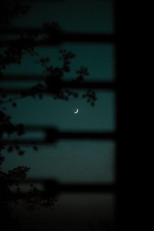 Crescent Moon on the Night Sky