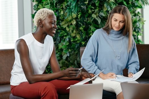 Multiracial colleagues checking important report on papers