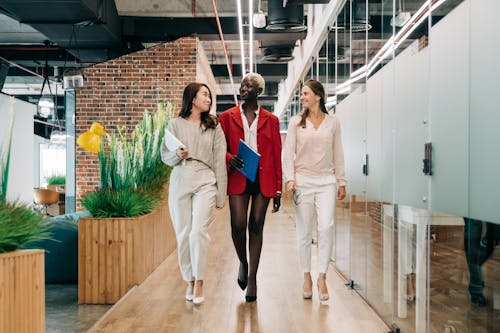 Free Full body of cheerful multiethnic business colleagues with folders talking about job in contemporary office Stock Photo