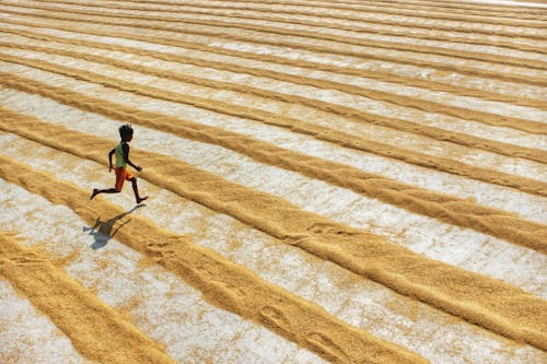 A Young Boy Running in Rice Field