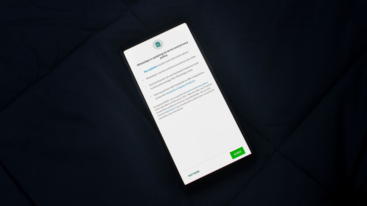 A person reviewing privacy and account deletion options on a screen