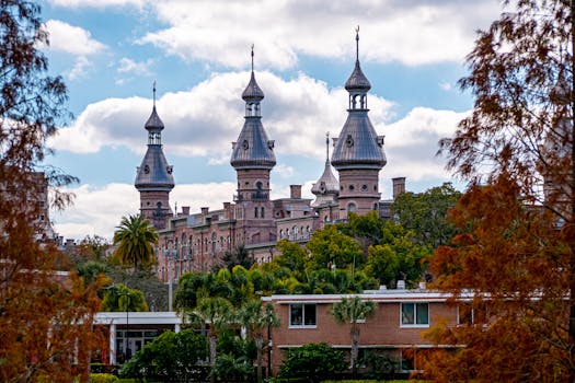 Tampa, United States photo 7