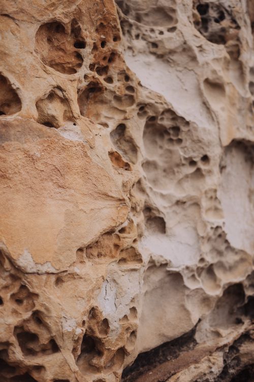 Free A close-up of a textured rock surface showcasing erosion patterns and intricate formations. Stock Photo