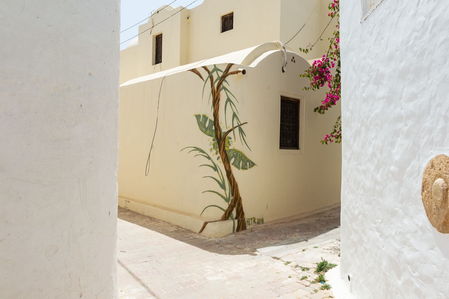 Old stone decorated house with geometric architecture located on sunny street with blooming tree and passage with white concrete wall