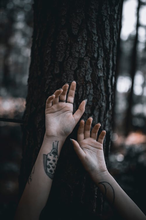 Free Crop unrecognizable female with raised tattooed arms leaning on tree trunk in green forest Stock Photo