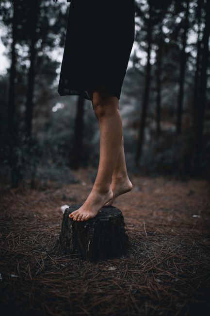 Crop anonymous barefooted female in dress standing on tree stub in lush green misty forest