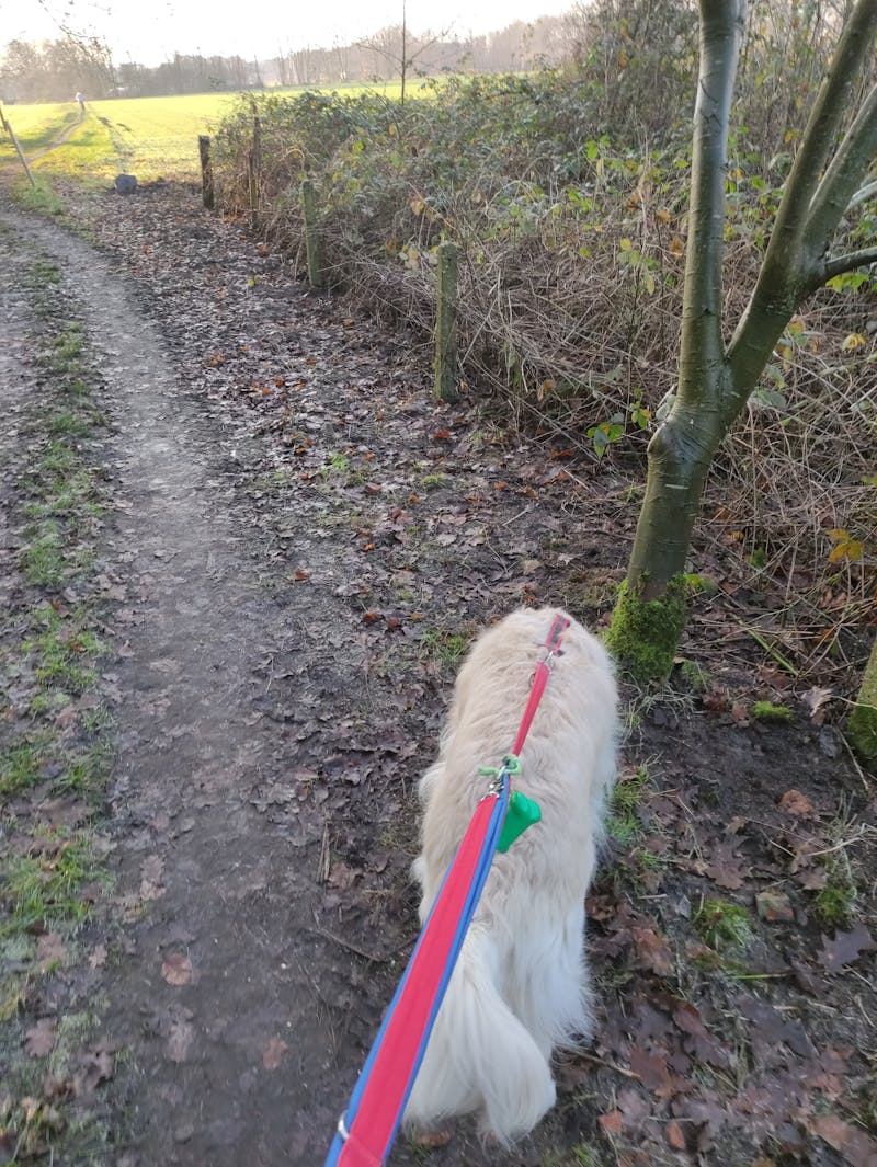 Structural steel components organized