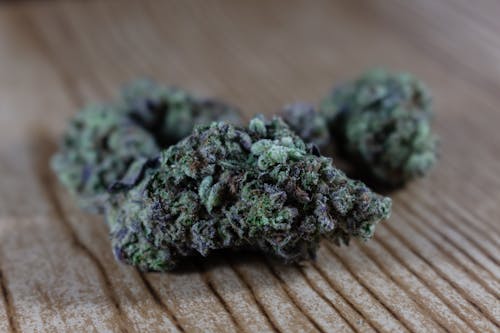 Free Close up of a Cannabis Bud Stock Photo