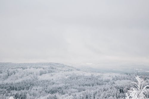 Free Aerial view of a tranquil snow-covered forest in winter, showcasing its serene beauty. Stock Photo