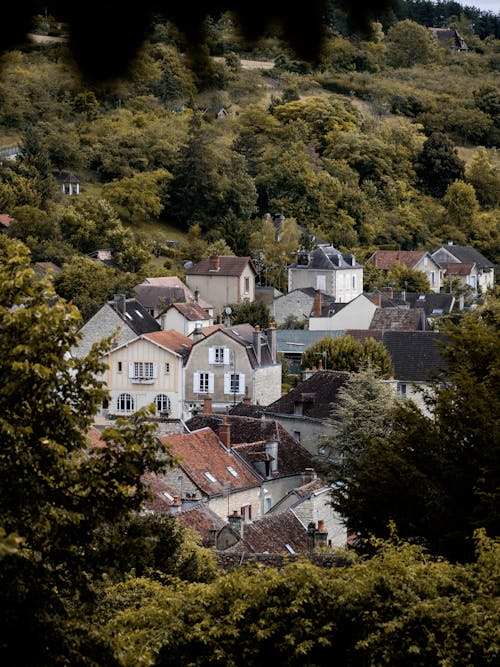 Village Houses surrounded by Trees