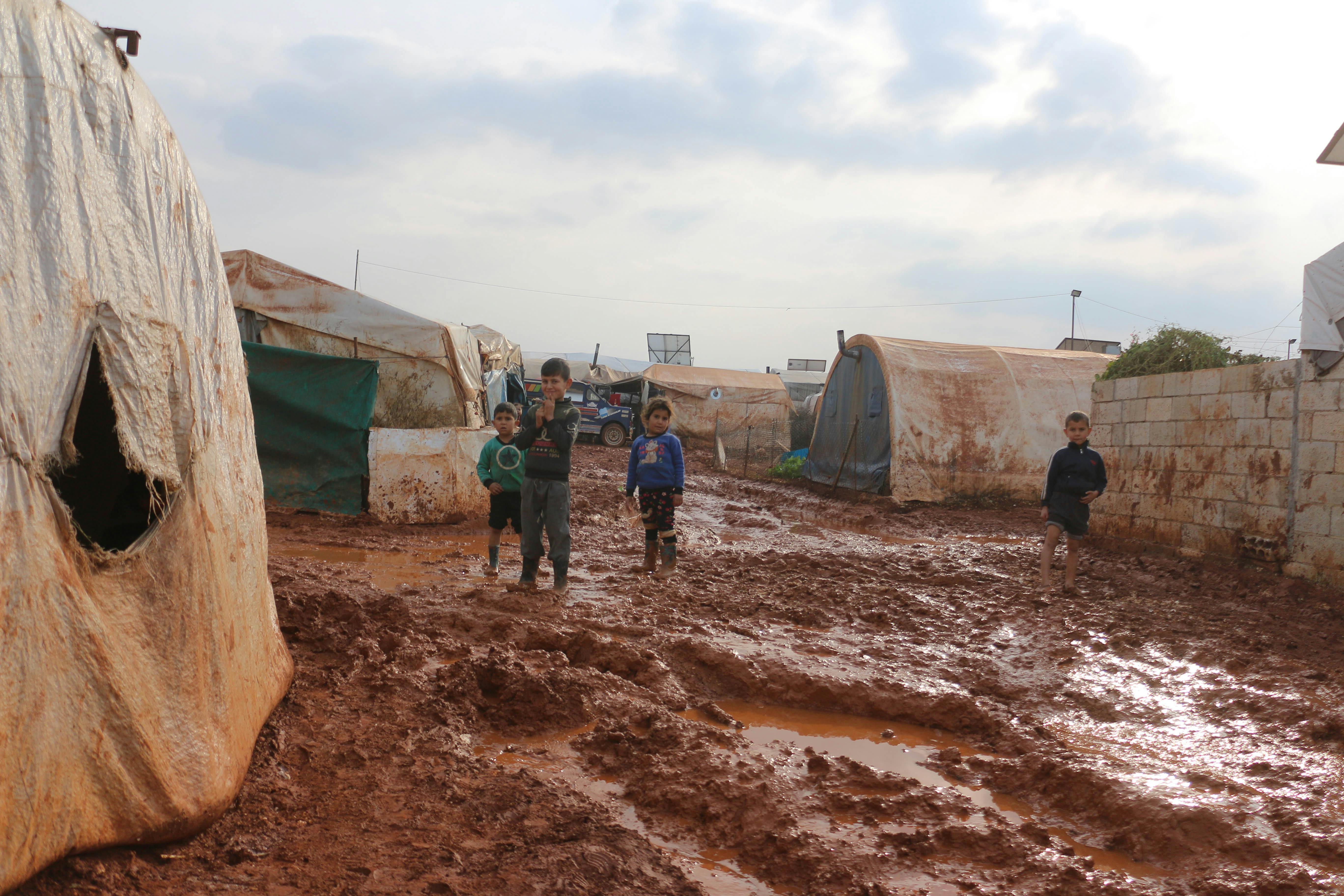 What are 15 things you need to survive?