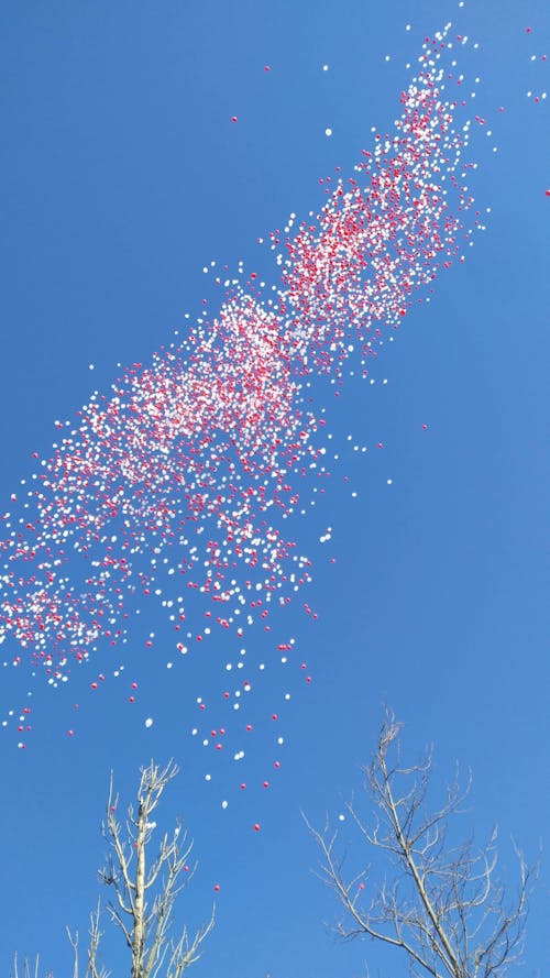 Foto profissional grátis de balões, céu, tiro vertical