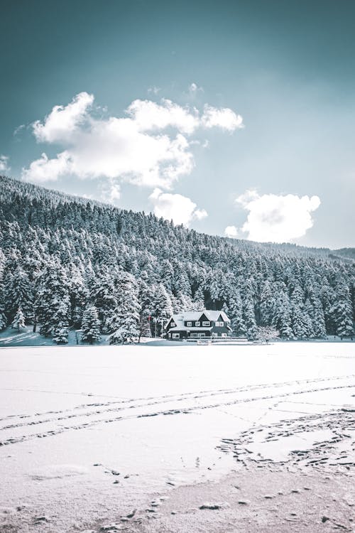 A House near a Snow-Covered Ground