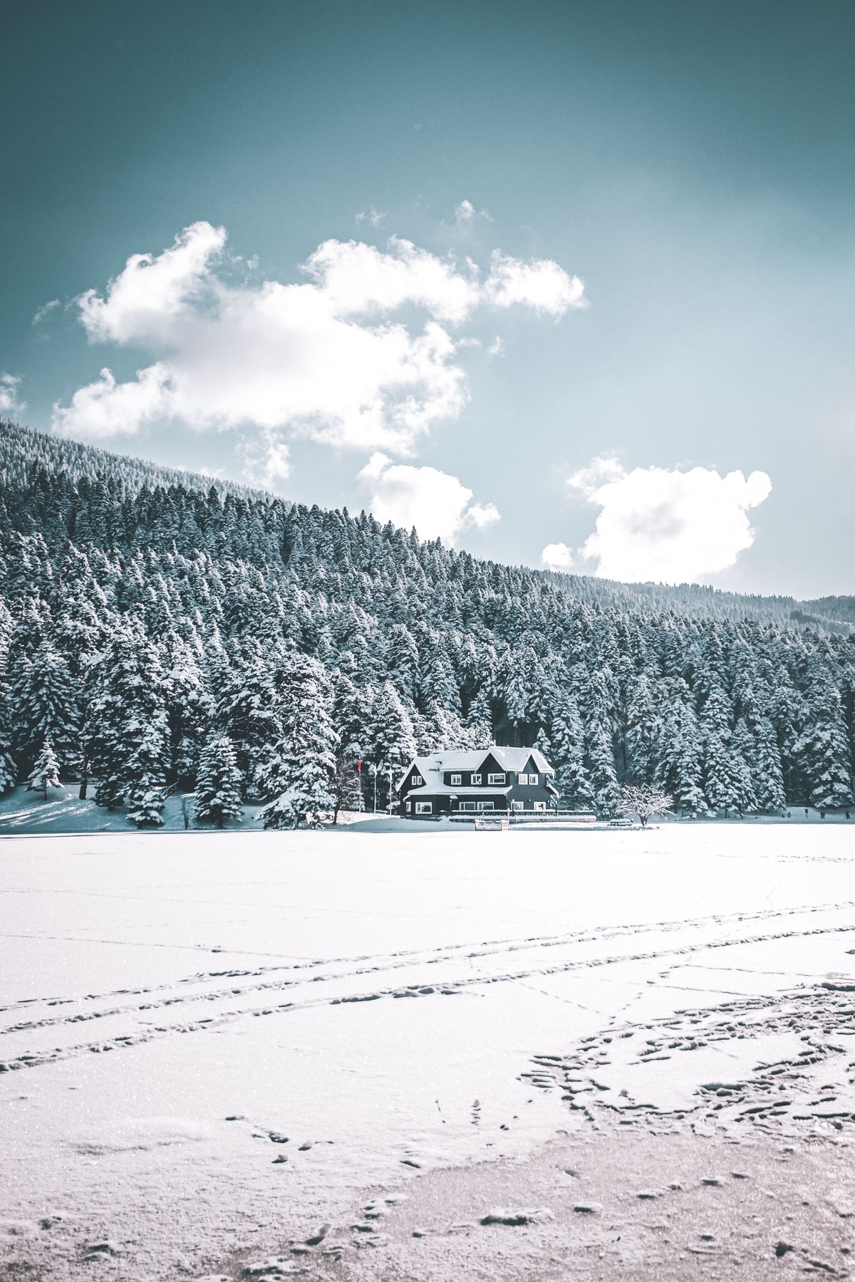 House surrounded by snow-covered ground in winter