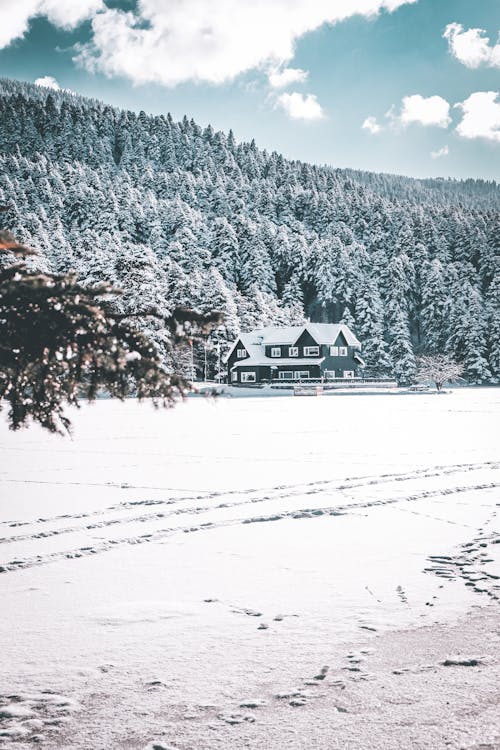 A House near a Snow-Covered Ground