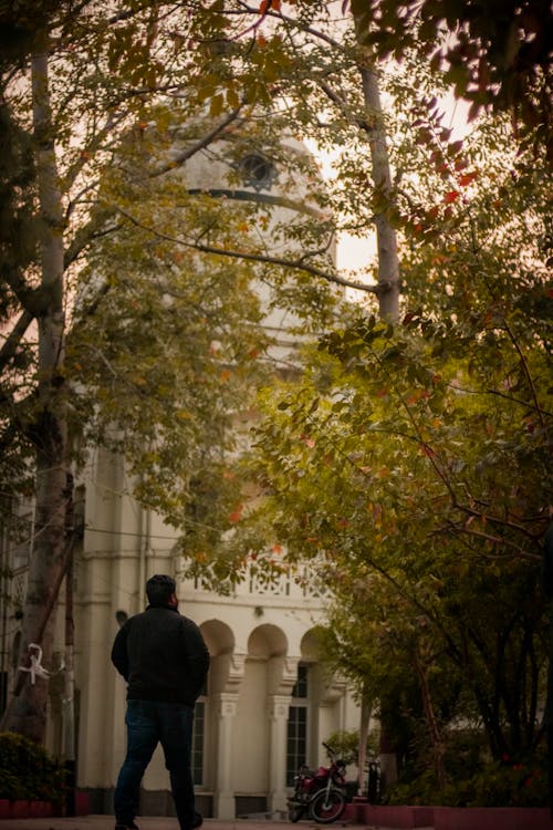 Free stock photo of autumn color, busy street, campus Stock Photo