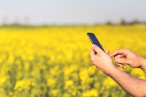 Free Smartphone Acer Jade S in the hands of a man on a background of yellow flowers Stock Photo