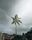 stormy weather