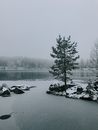 Body of Water Near Trees