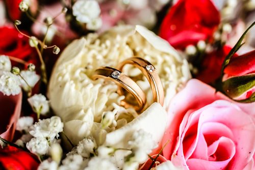 Free Close-up of gold wedding rings nestled in colorful rose petals, symbolizing love and marriage. Stock Photo