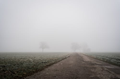 Gray Dirt Road Between Green Grass Field Covered With Fog