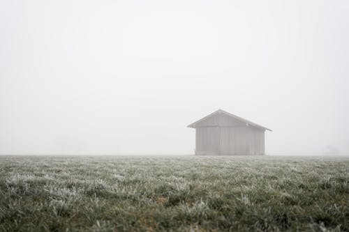 Free Old Barn in the Middle of a Farmland Covered with Fog Stock Photo