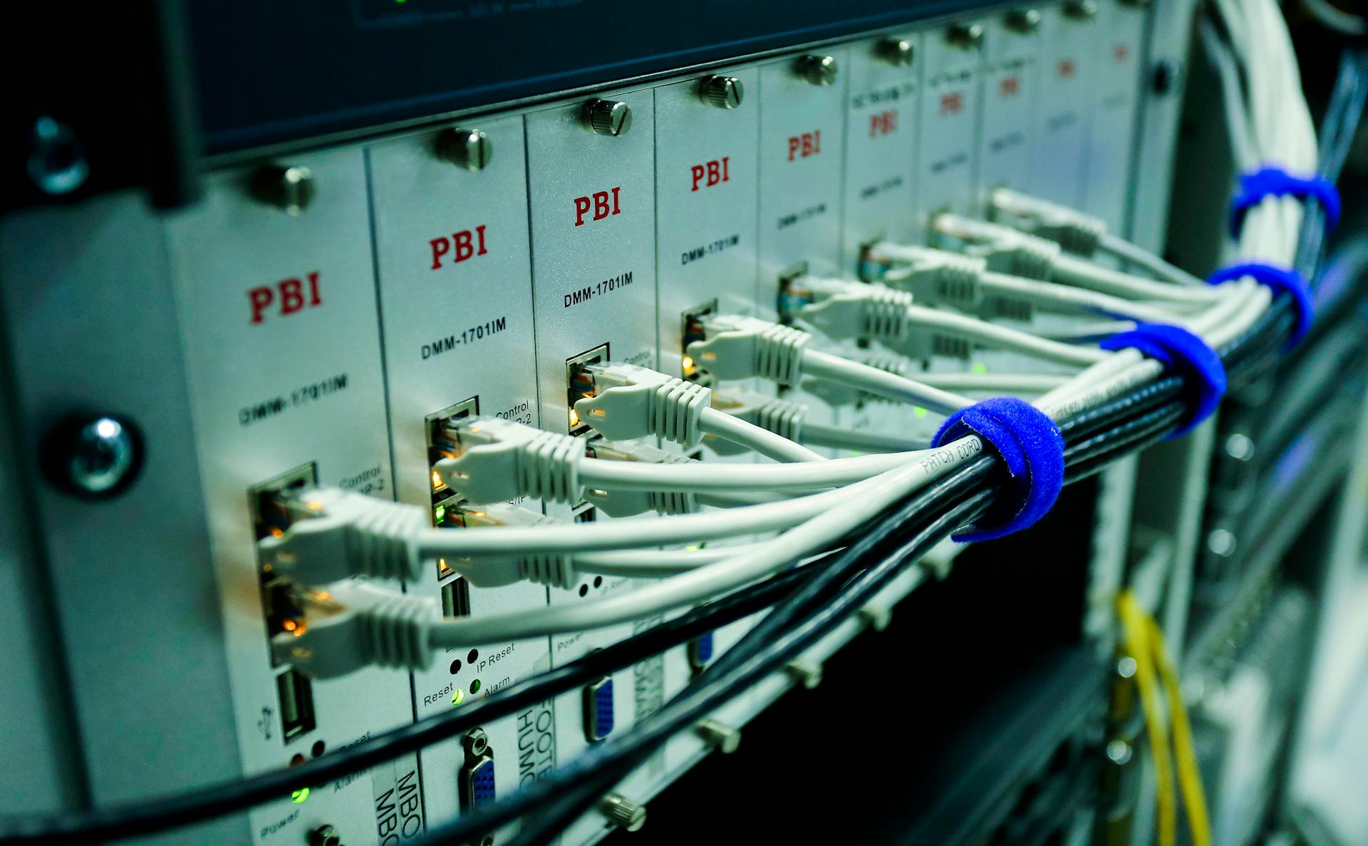 Close-up of ethernet cables connected to a network switch panel in a data center.