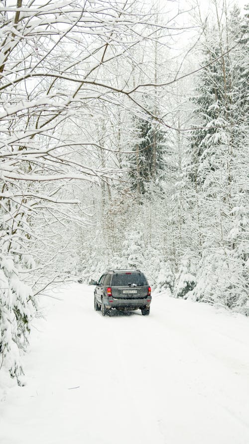 Black Car on Snow Covered Road