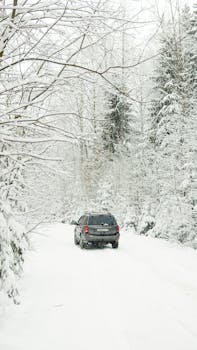 SUV driving on a snowy forest road amidst frosty trees, highlighting winter's serene beauty.