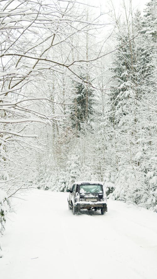 Free Black Suv on Snow Covered Road Stock Photo