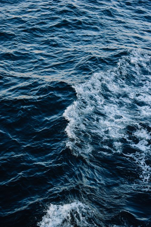 Free Close-up view of ocean waves in motion, showcasing the natural beauty of sea currents. Stock Photo