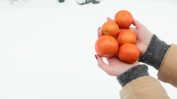 Close-up of hands holding oranges against a snowy white background, highlighting freshness and contrast.