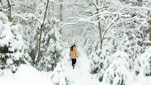 Photos gratuites de couvert de neige, espace extérieur, femme