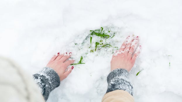 A pair of hands clearing snow to reveal green grass underneath, showcasing winter exploration.