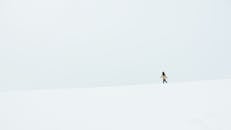 一名女子独自行走在广阔的白雪皑皑的风景中，天空极简主义