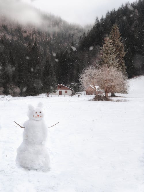 Photos gratuites de arbres, autriche, bonhomme de neige